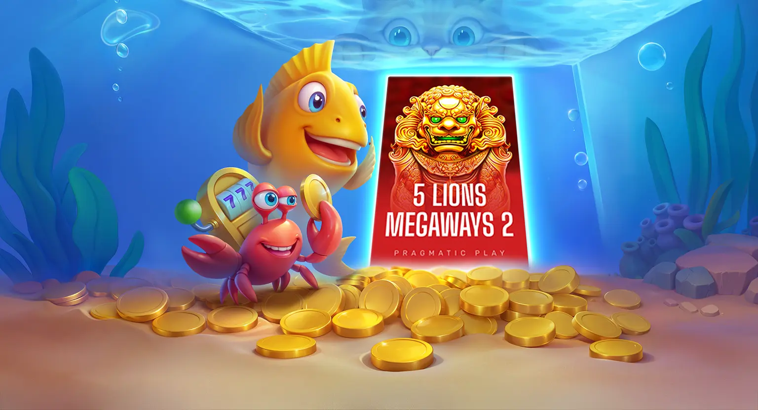 De Spinfin app maakt het mogelijk om overal bonussen te beheren en verantwoord te spelen